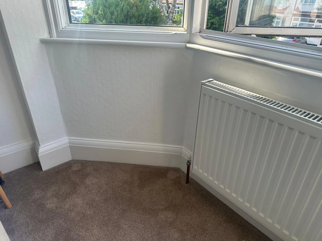 Wall after mould and damp repair
