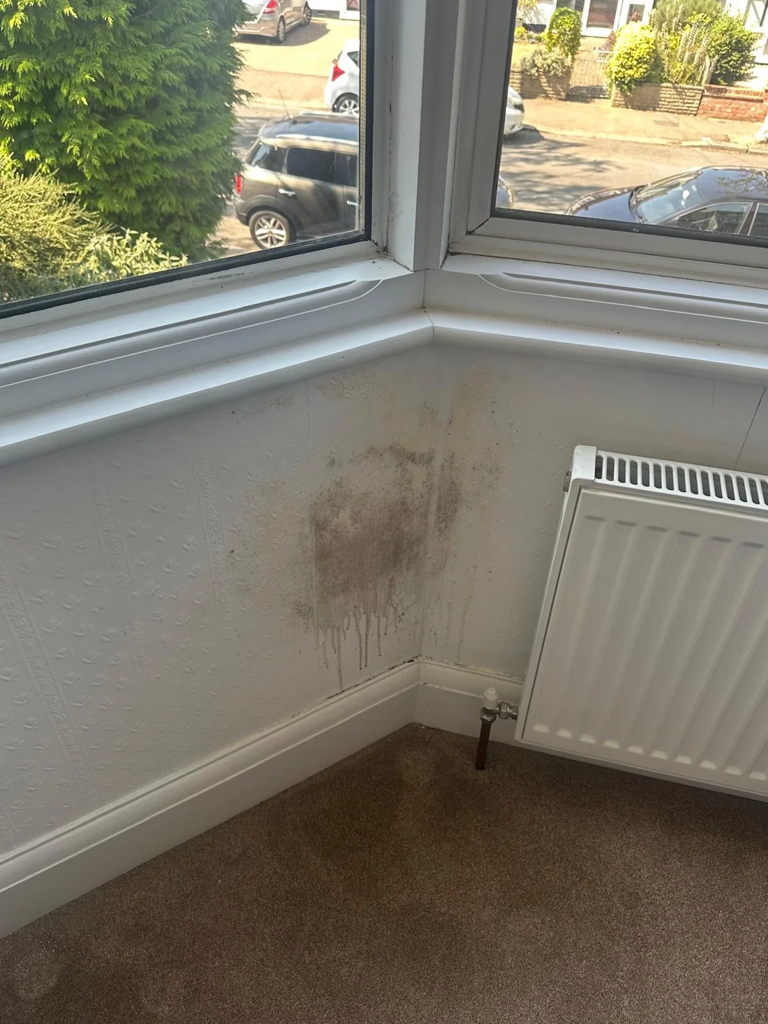 Mould damaged wall before repair