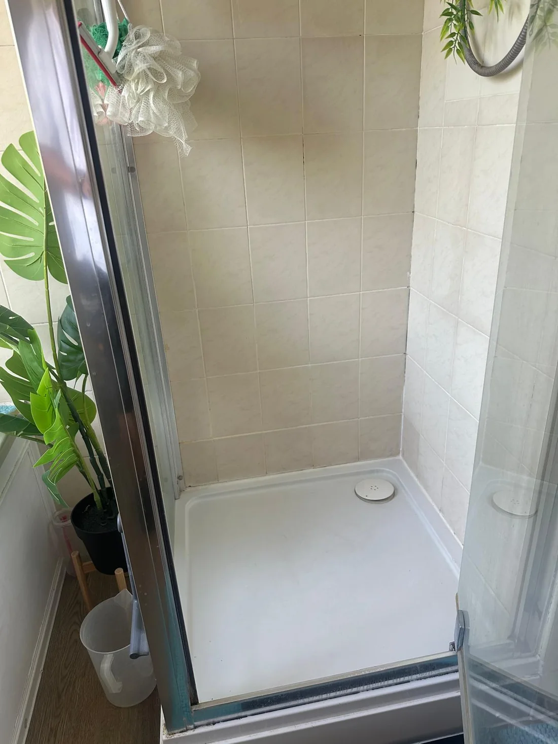 Shower before resealing and grout repair